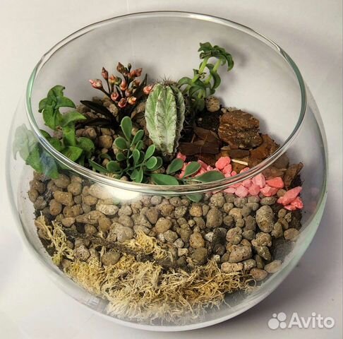 Флорариум подарок