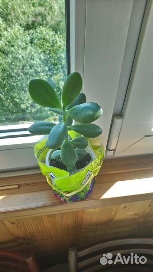 Картон цветной (Набор 9 лист. ) А4