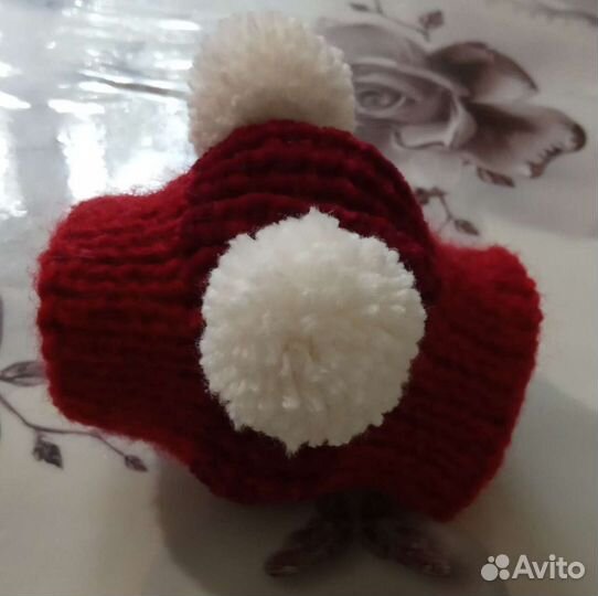 Шапочка для собачки (теплые)