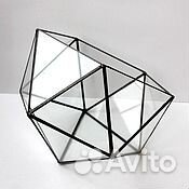 Купить флорариум. Мастер-класс