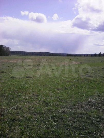 Участок 6 га (СНТ, ДНП)