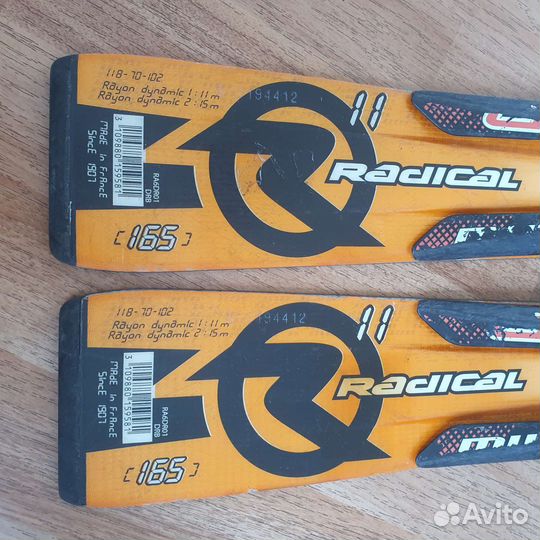 Горные лыжи