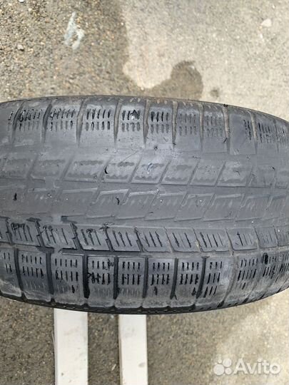 Pirelli P5000 Drago 195/50 R15 82V