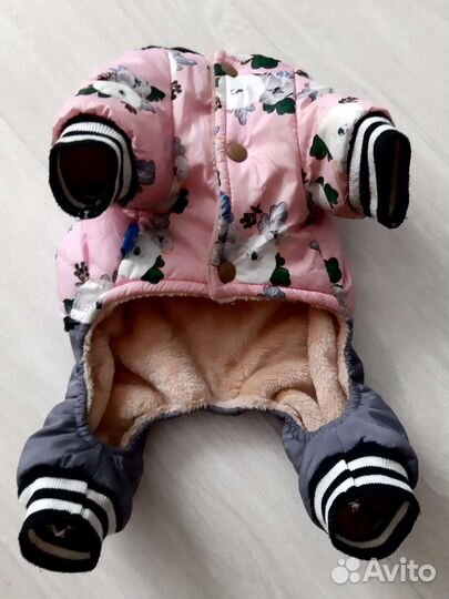 Одежда для маленьких собак