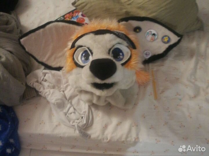 Фурсьют лисы