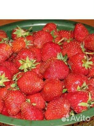 Клубника и огурчики с бесплатной доставкой