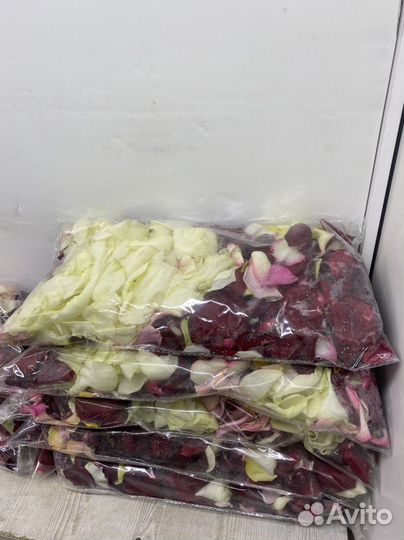 Лепестки роз