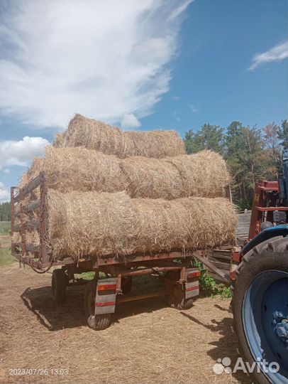 Продам сено в тюках