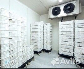 Автоматика Холодильника Камер Создание Передел люб