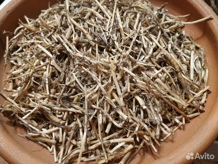 Корень одуванчика, аира, сабельника, пырея, лопуха