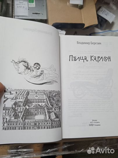 В. Березин. Птица Карлсон. Книга
