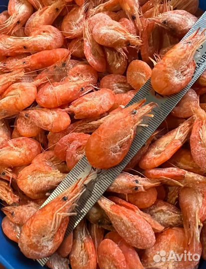 Креветка черноморская