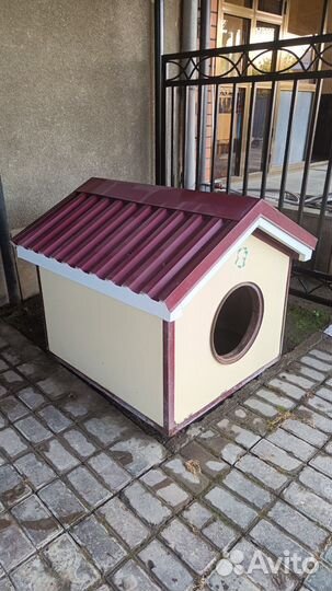 Собачья будка