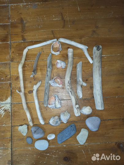 Коряги дрифтвуд