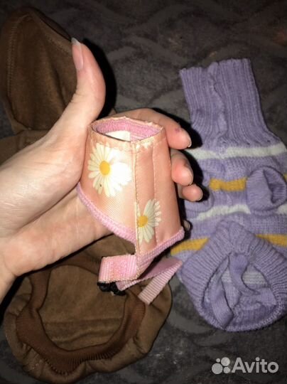 Одежда для маленьких собак