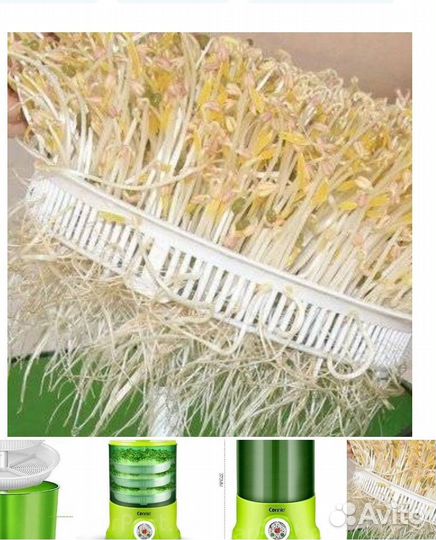 Контейнер для проращивания семян