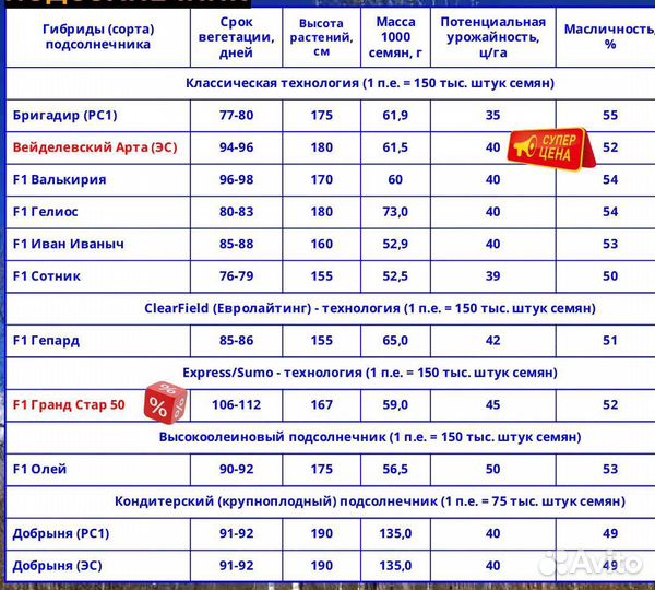 Семена подсолнечника