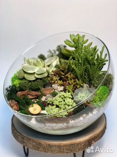 Флорариум, оригинальный подарок, микромир