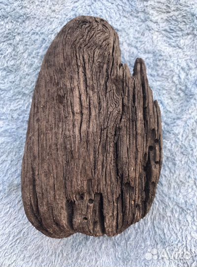 Дрифтвуд (древесина из моря)