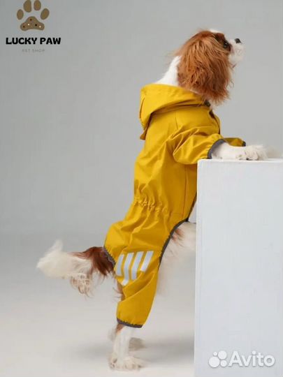 Комбинезон-дождевик для собак