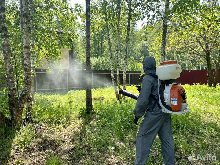 Уничтожение тараканов, клопов, крыс
