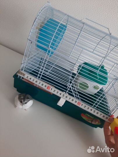 Клетка для хомяка