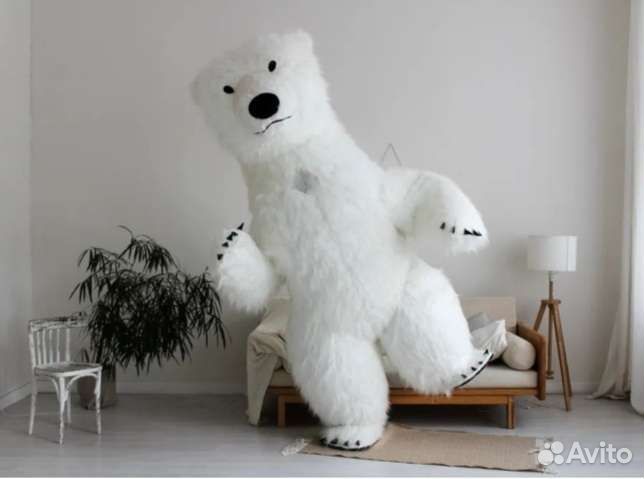 Белый медведь