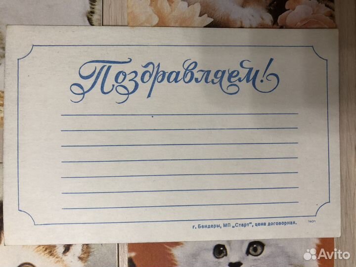 Открытки кошки