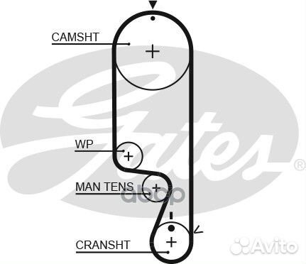 Ремень грм 5535XS Gates
