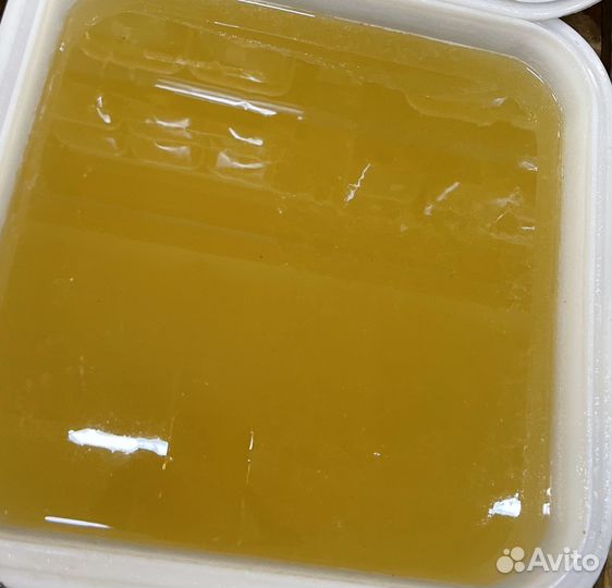 Мед донниковый оптом