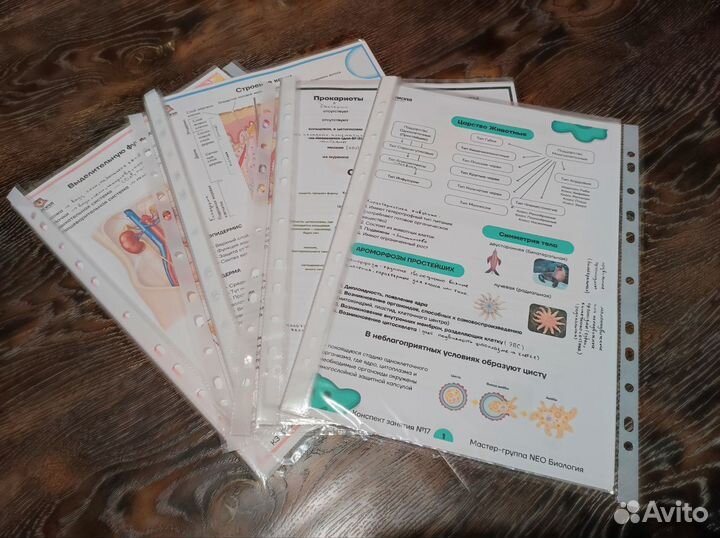 Конспекты по биологии егэ