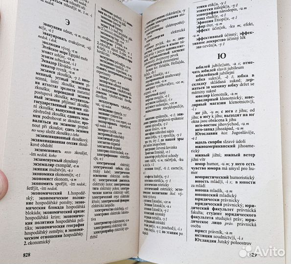 Чешско-русский и русско-чешский словарь