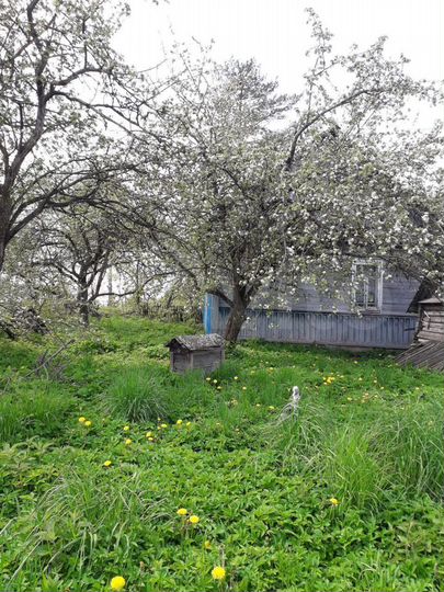 Дом 72 м² на участке 35 сот.