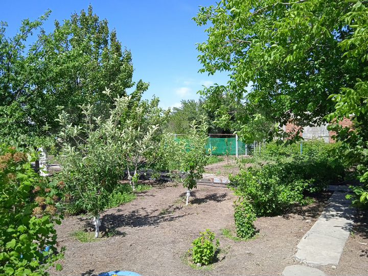 Дача 25 м² на участке 6,6 сот.