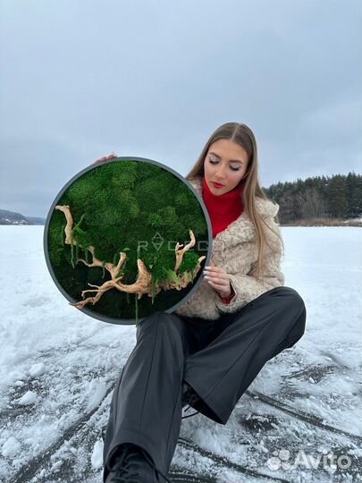 Стабилизированный мох панно стена из мха