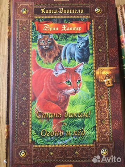 Эрин Хантер «Коты воители»