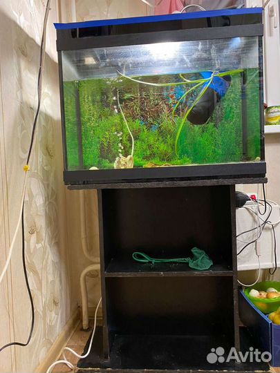 Аквариум с тумбой
