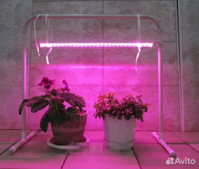 Фитолампа для растений