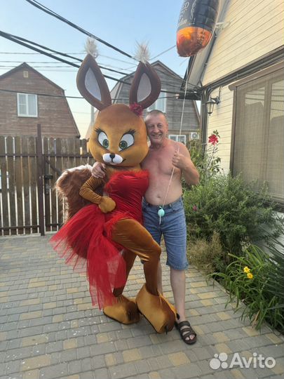 Поздравление зайка /тедди/ белка /аниматор