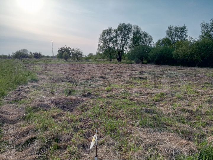 Участок 18 сот. (СНТ, ДНП)