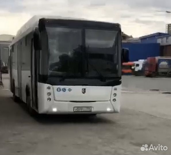 Водитель категории Д