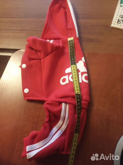 Одежда для собак