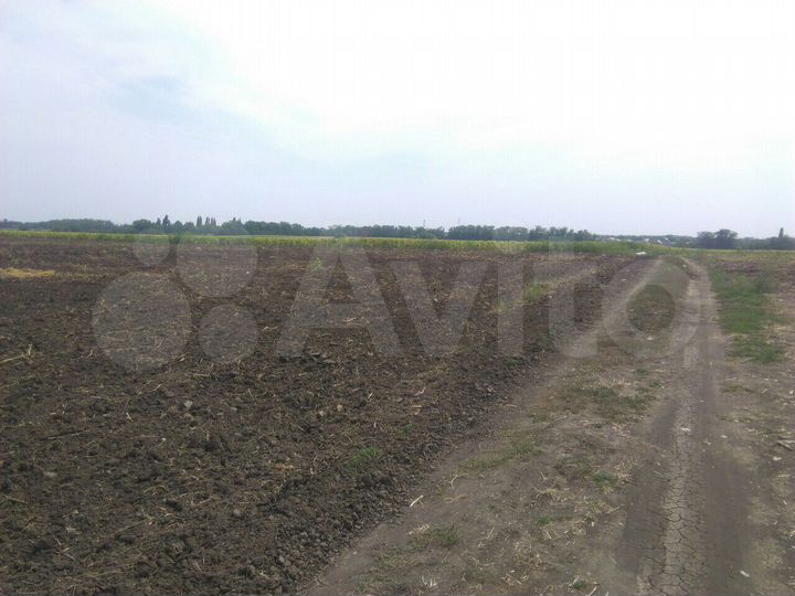 Участок 4,9 га (СНТ, ДНП)