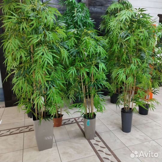 Бамбук искусственный натуральный стволе
