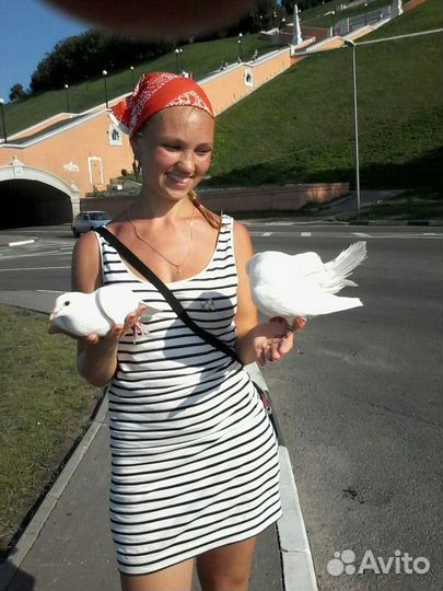 Белые голуби