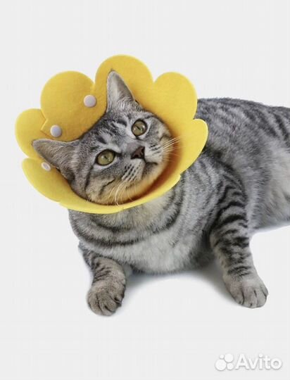 Воротник защитный для кошек и собак