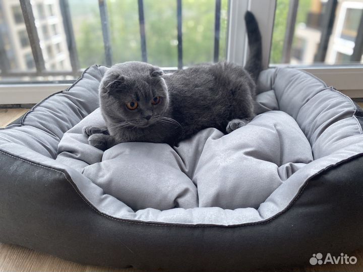 Лежанка для животных для кошек для собак