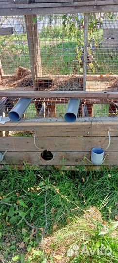 Клетка для кролика