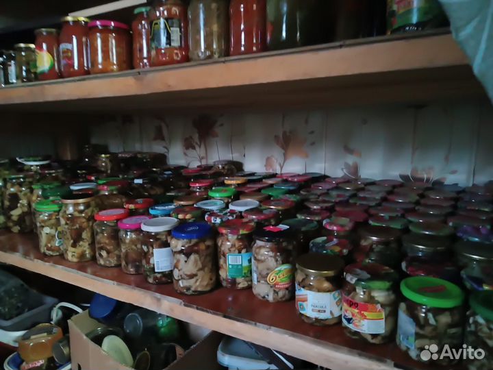 Грибы валуи и груздья