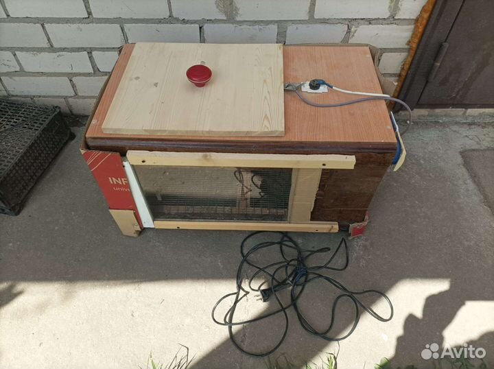 Брудер для цыплят